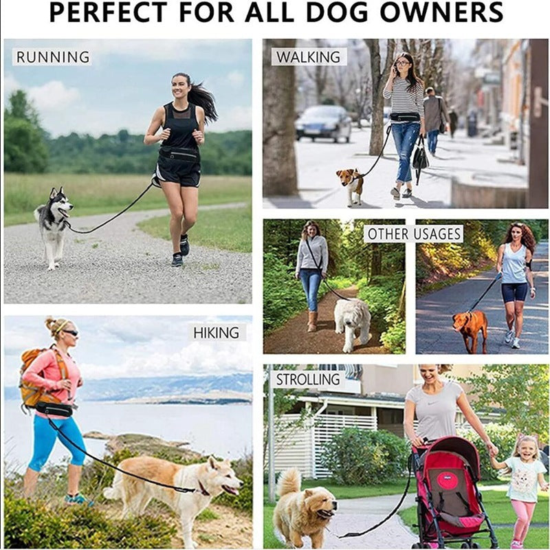 Hands-Free Bungee Dog Leash