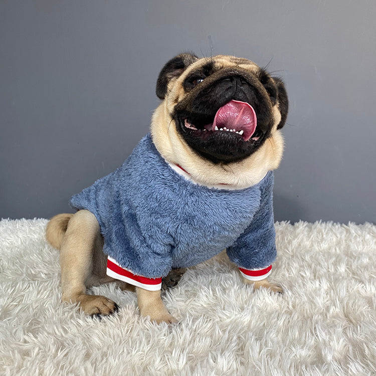 Snuggly Pet Sweater