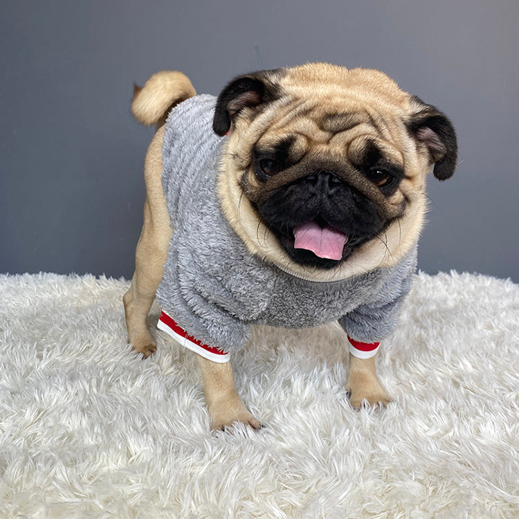 Snuggly Pet Sweater
