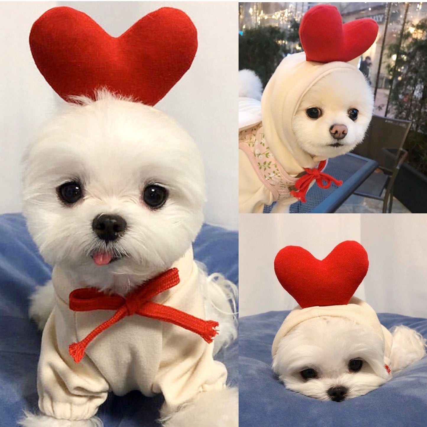 Fruity Fleece Dog Hoodie