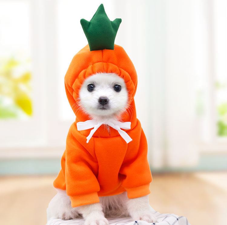 Fruity Fleece Dog Hoodie