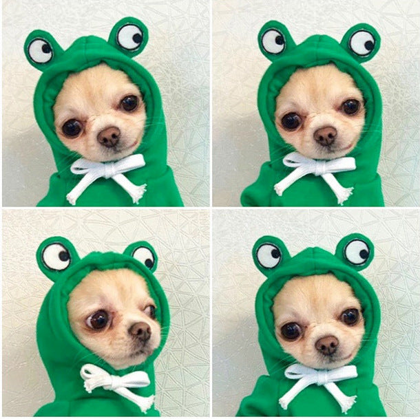 Fruity Fleece Dog Hoodie