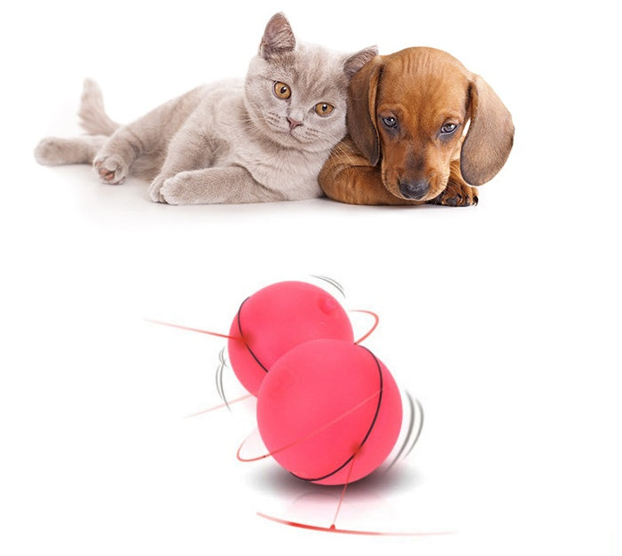 LaserPlay PawBall