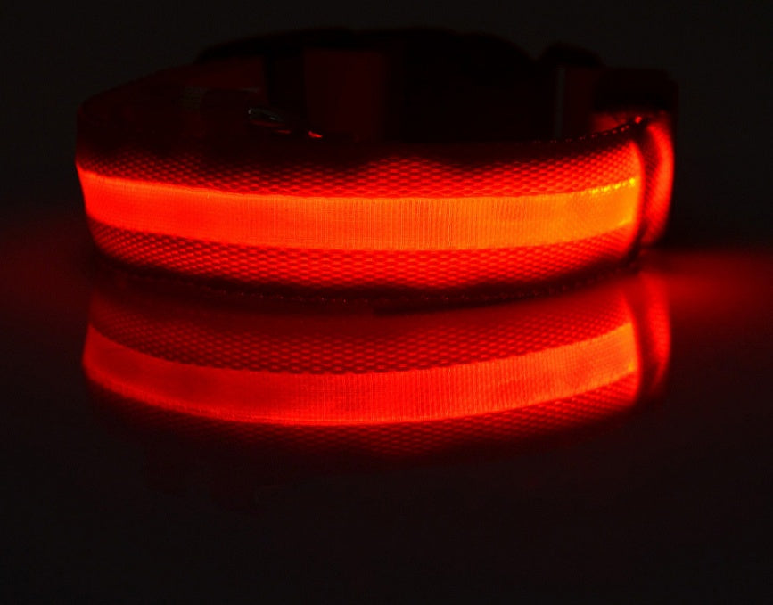 GlowSafe LED Pet Collar