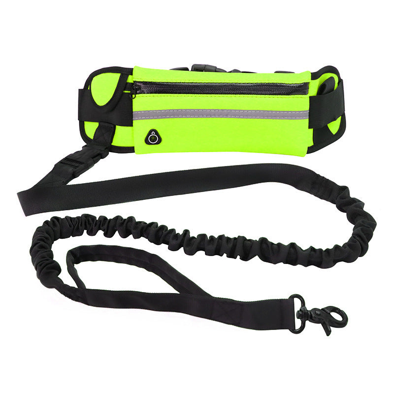 Hands-Free Bungee Dog Leash