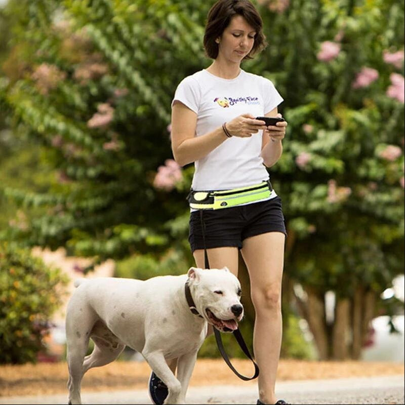 Hands-Free Bungee Dog Leash