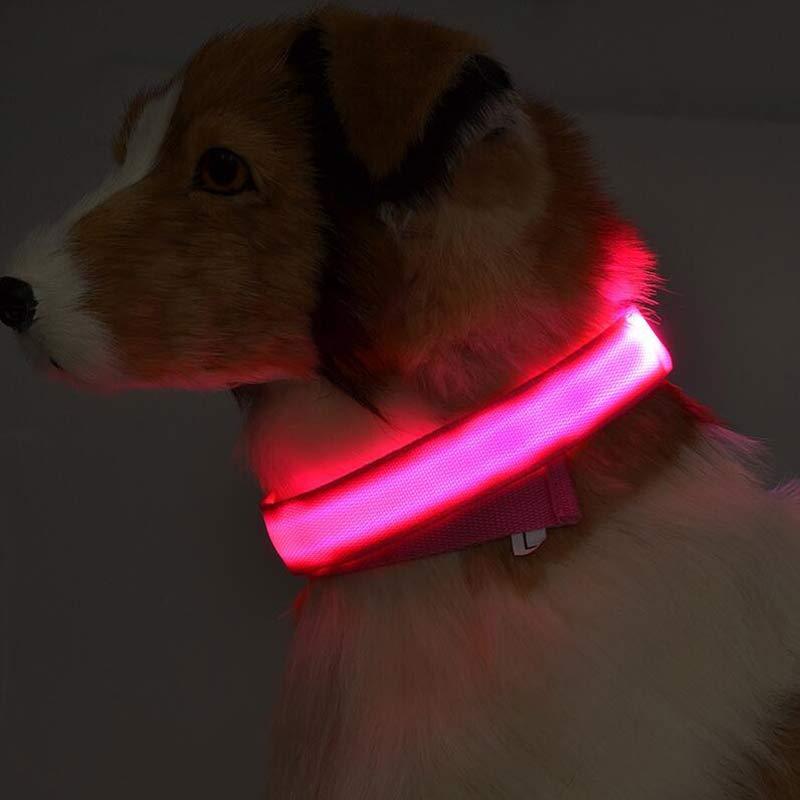 GlowSafe LED Pet Collar