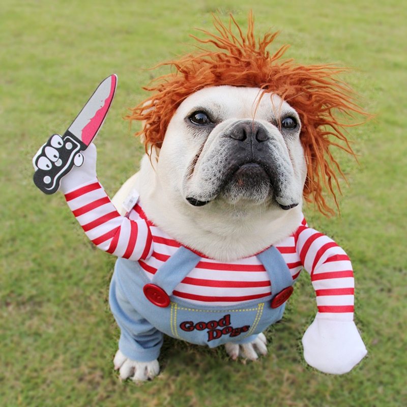 Spooktacular Pup Costume