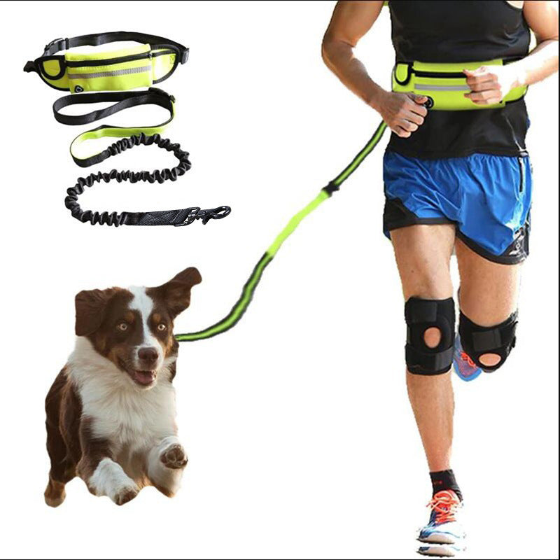 Hands-Free Bungee Dog Leash
