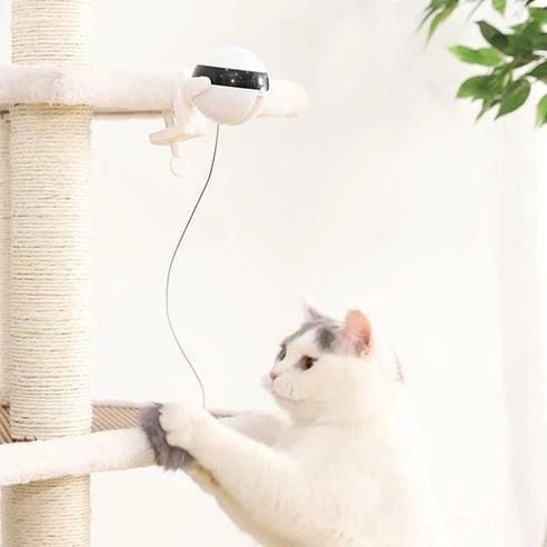 Purrfect Motion Cat Toy