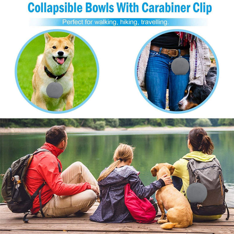 Foldable Double Bowl Pet Feeder