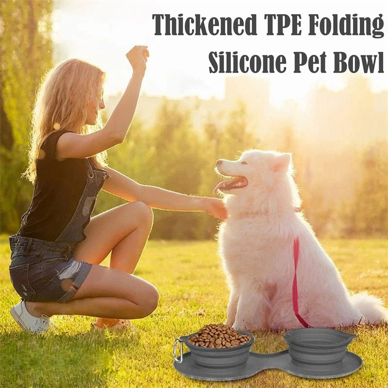 Foldable Double Bowl Pet Feeder