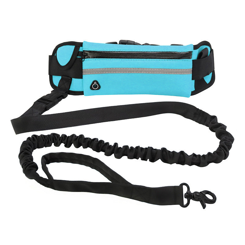 Hands-Free Bungee Dog Leash