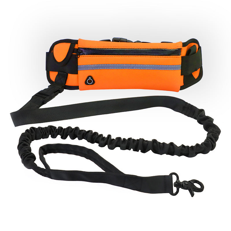 Hands-Free Bungee Dog Leash