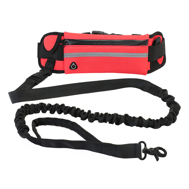 Hands-Free Bungee Dog Leash