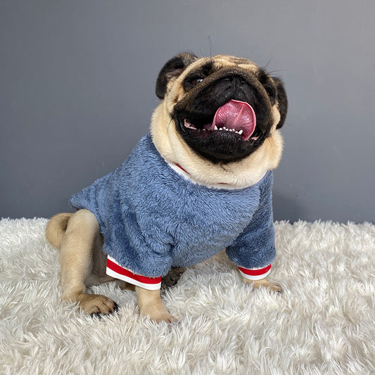Snuggly Pet Sweater