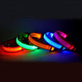 GlowSafe LED Pet Collar