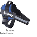 Customizable No-Pull Dog Harness