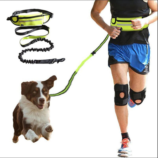 Hands-Free Bungee Dog Leash