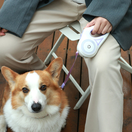 AutoGlow Retractable Leash & Collar Set