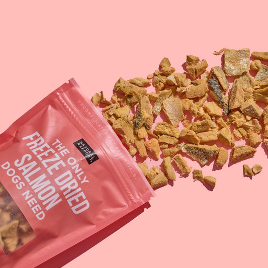 SalmonSnax Delights (3 oz.)