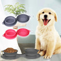Foldable Double Bowl Pet Feeder