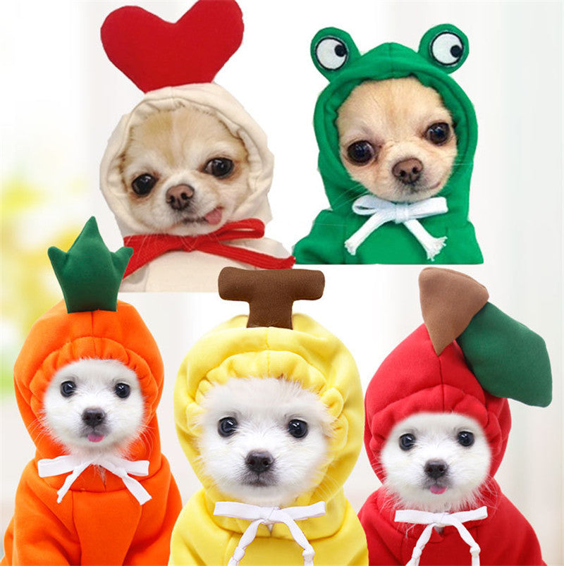 Fruity Fleece Dog Hoodie