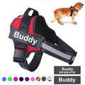 Customizable No-Pull Dog Harness
