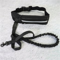 Hands-Free Bungee Dog Leash